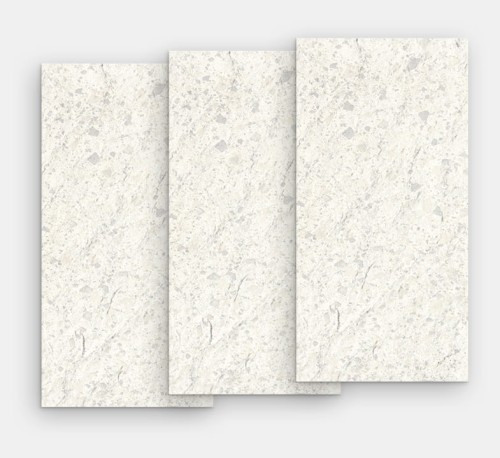 IRIS VENICE VILLA VENICE ZINC  MATT 120x60