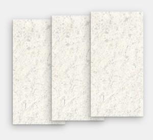 IRIS VENICE VILLA VENICE ZINC MATT 60x30