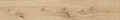 AtlasConcorde_Exence_Vanilla_20x120_Matte_AO47_1.webp
