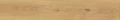 AtlasConcorde_Exence_Almond_20x120_Matte_AO48_19.webp