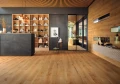 AtlasConcorde_Exence_003a_00_Amber_SawCut.webp