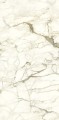 ARIOSTEA ULTRA 270x120 – CALACATTA MACCHIA VECCHIA-01.jpg