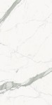 ARIOSTEA ULTRA – STATUARIO ALTISSIMO POLISHED 120 x 120