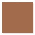 25 X 25 CM WOW SOLID XL COTTO