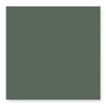 WOW SOLID XS MOSS 6,2 x 6,2 cm