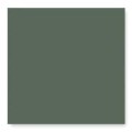 12,5 X 12,5 CM WOW SOLID M MOSS