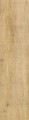 ARIOSTEA Legni High-Tech - ROVERE BRICCOLA-02.jpg