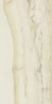 La Fabbrica AVA AESTHETICA WILDE połysk 120 x 60 cm