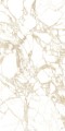 PULP GOLD Polish 60X120 2 (Mediano).jpg
