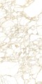 PULP GOLD Polish 60X120 4 (Mediano).jpg