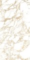 PULP GOLD Polish 60X120 5 (Mediano).jpg