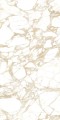 PULP GOLD Polish 60X120 6 (Mediano).jpg