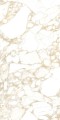 PULP GOLD Polish 60X120 7 (Mediano).jpg
