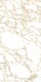 PULP GOLD Polish 60X120 8 (Mediano).jpg