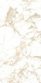 PULP GOLD Polish 60X120 9 (Mediano).jpg