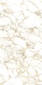 PULP GOLD Polish 60X120 10 (Mediano).jpg