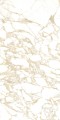 PULP GOLD Polish 60X120 14 (Mediano).jpg