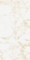 PULP GOLD Raw 60X120 3 (Mediano).jpg