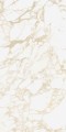 PULP GOLD Raw 60X120 5 (Mediano).jpg