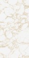 PULP GOLD Raw 60X120 6 (Mediano).jpg