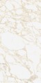 PULP GOLD Raw 60X120 8 (Mediano).jpg