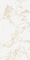 PULP GOLD Raw 60X120 9 (Mediano).jpg