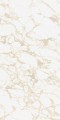 PULP GOLD Raw 60X120 10 (Mediano).jpg