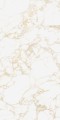PULP GOLD Raw 60X120 13 (Mediano).jpg