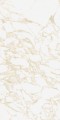 PULP GOLD Raw 60X120 14 (Mediano).jpg