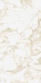 PULP GOLD Raw 60X120 15 (Mediano).jpg