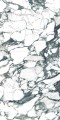 PULP GREEN Polish 60X120 3 (Mediano).jpg