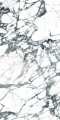 PULP GREEN Polish 60X120 7 (Mediano).jpg