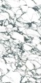 PULP GREEN Polish 60X120 8 (Mediano).jpg