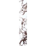 41ZERO42 Pulp Red Double Satyna 60 x 10 cm