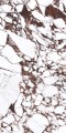 120 x 60 cm 41ZERO42 Pulp Red Double Połysk