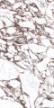 PULP RED Honed 60X120 14 (Mediano).jpg