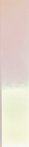41ZERO42 Spectre Sky Hologram 5 x 25 cm