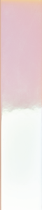 41ZERO42 Spectre Rose Hologram 5 x 25 cm